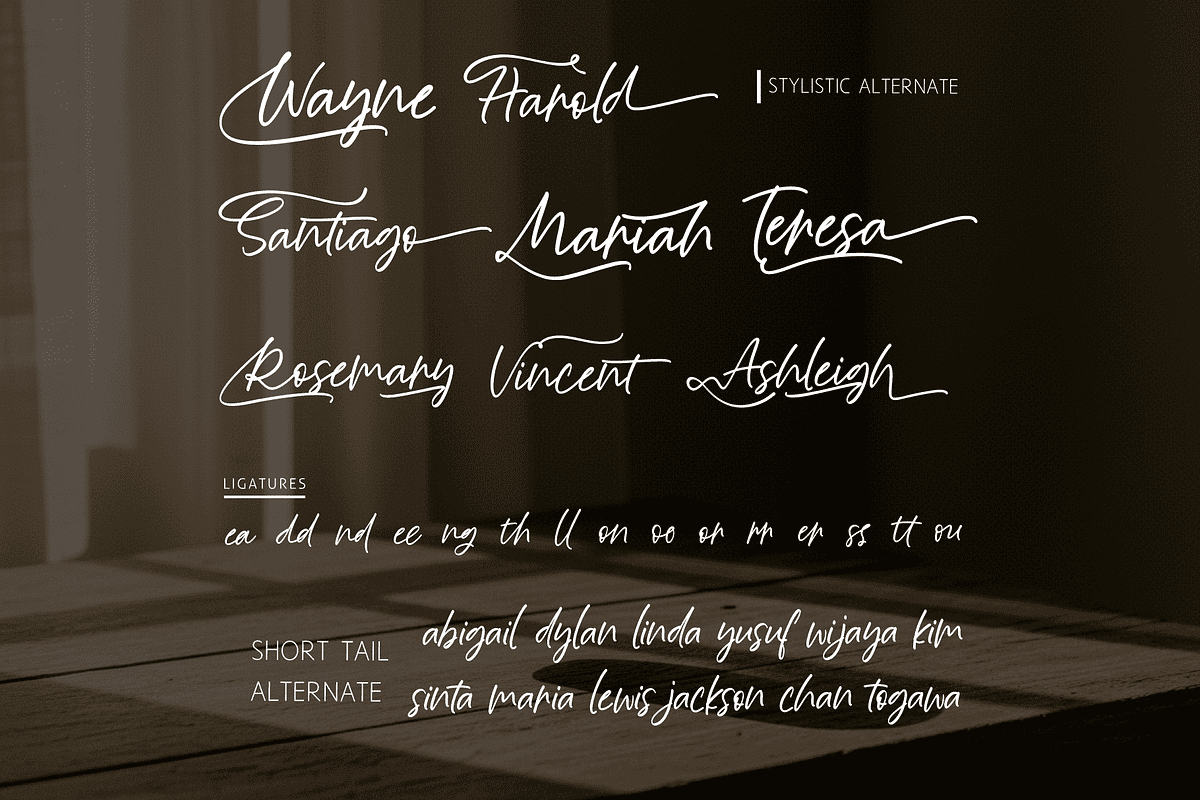 Moonlight Dreaming Handwritten, a Handwritten Font by Letterhanna Studio (Photo 4 of 11)
