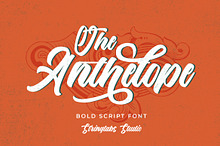 The Anthelope - Retro Script Font