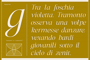 Dh Irlia - 7 Fashion Swash Family, a Serif Font by Dharmas Foundry (Thumbnail 14 of 19)