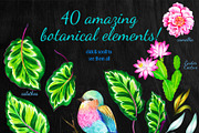 Amazing Botanic 2 - floral elements., an Illustration by RosaPompelmo (Thumbnail 2 of 5)