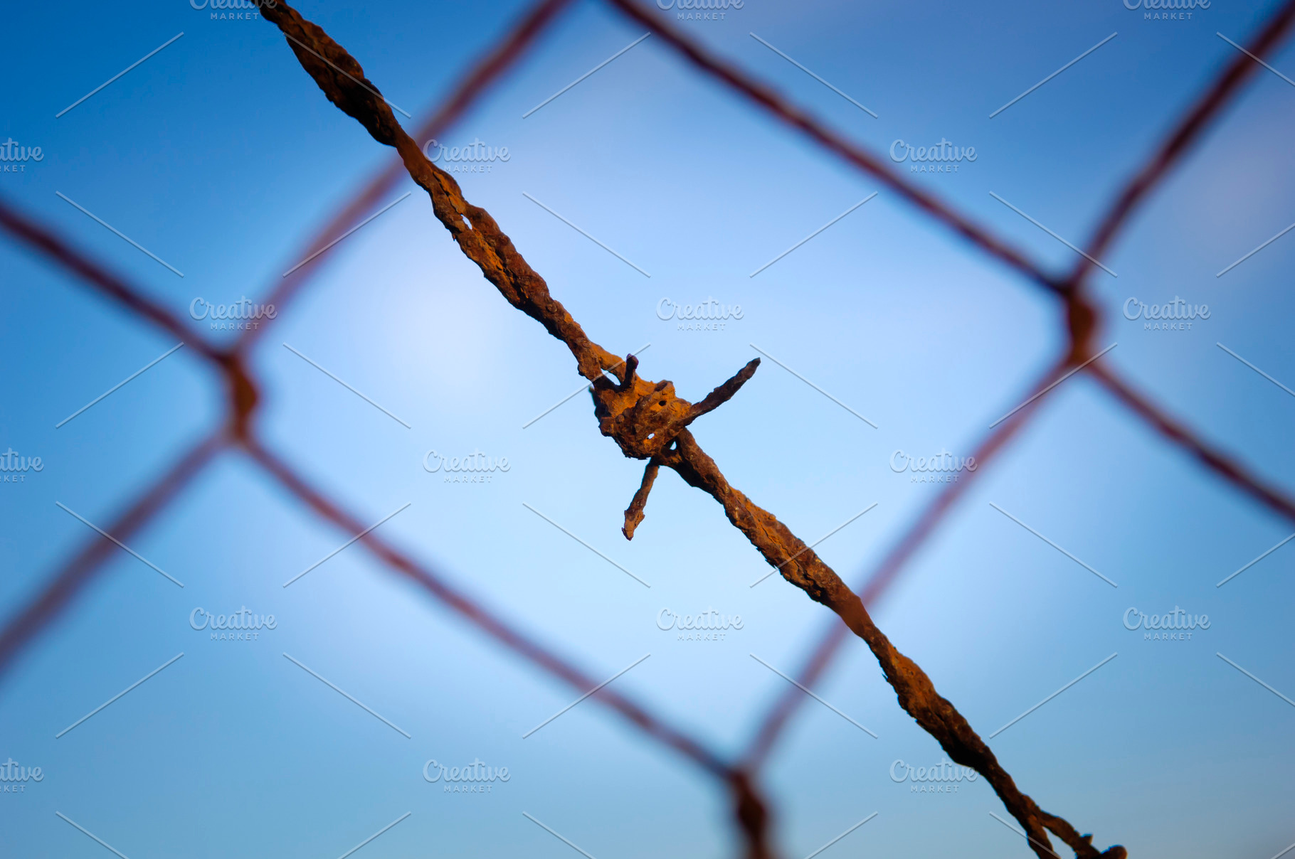 Barbed Wire, an Abstract Photo by THP Creative