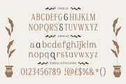 Plafisco | Inktrap Elegant Display, a Serif Font by Hole Hope Design (Thumbnail 4 of 10)