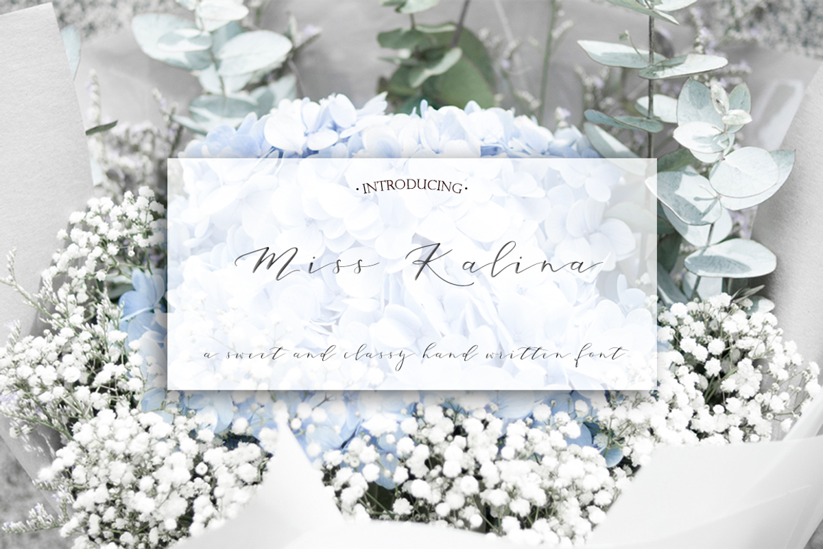 Miss. Kalina Script Font
