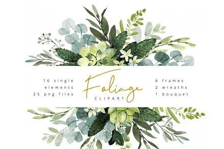 Eucalyptus foliage clipart, a Decorative Illustration by AnnelyBlooms