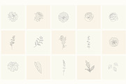 Hand Drawn Floral Elements. Frames, a Seasonal Illustration by Designwork (Thumbnail 5 of 22)