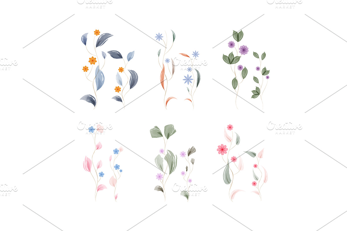 Watercolor floral stems with, an Illustration by okskukuruza