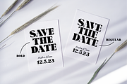 VENUE Modern Serif Wedding Font, a Serif Font by Blush Font Co. (Thumbnail 2 of 6)