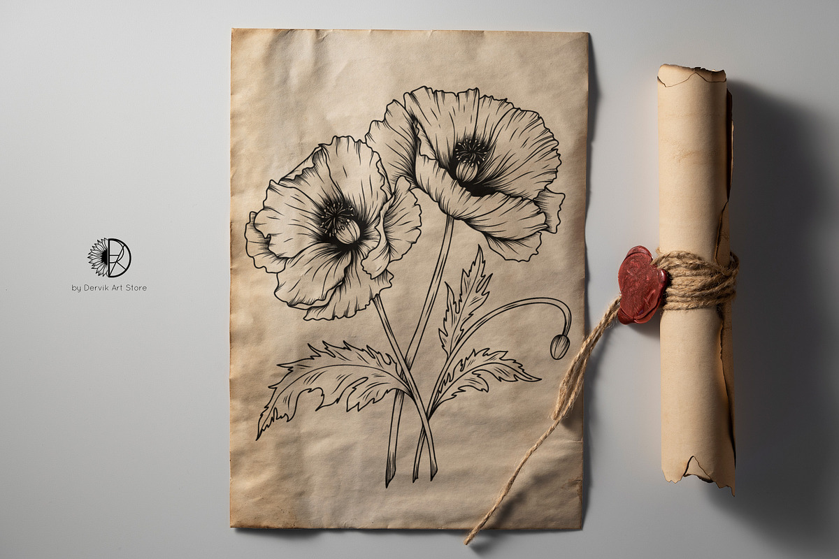 Poppy Flowers Line Art SVG, an Object Graphic by Dervik Art Store (Photo 4 of 7)