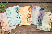 Herbarium. Watercolor Textures., a Texture Graphic by AlexGreenArt (Thumbnail 5 of 9)