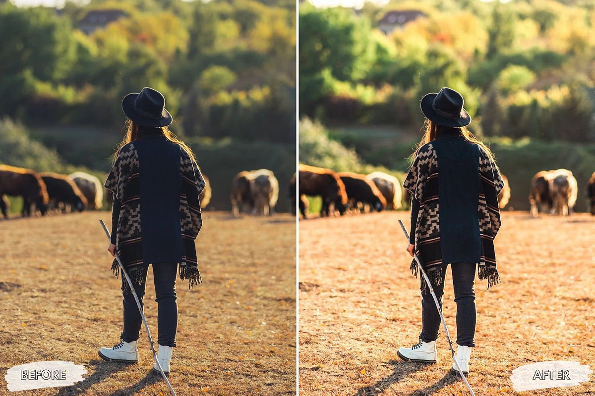 10 Sunlit Meadow Lightroom Presets, a Preset Add-On by LucaTheme (Photo 6 of 9)