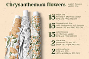 Flowers. Chrysanthemums, an Illustration by irina.vaneeva (Thumbnail 4 of 8)