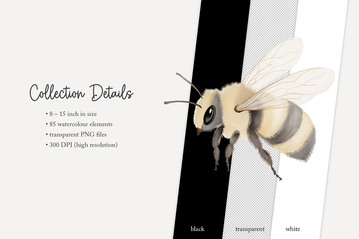 85 forest animal clip art, an Animal Illustration by Poppy Lane Studio (Photo 8 of 10)
