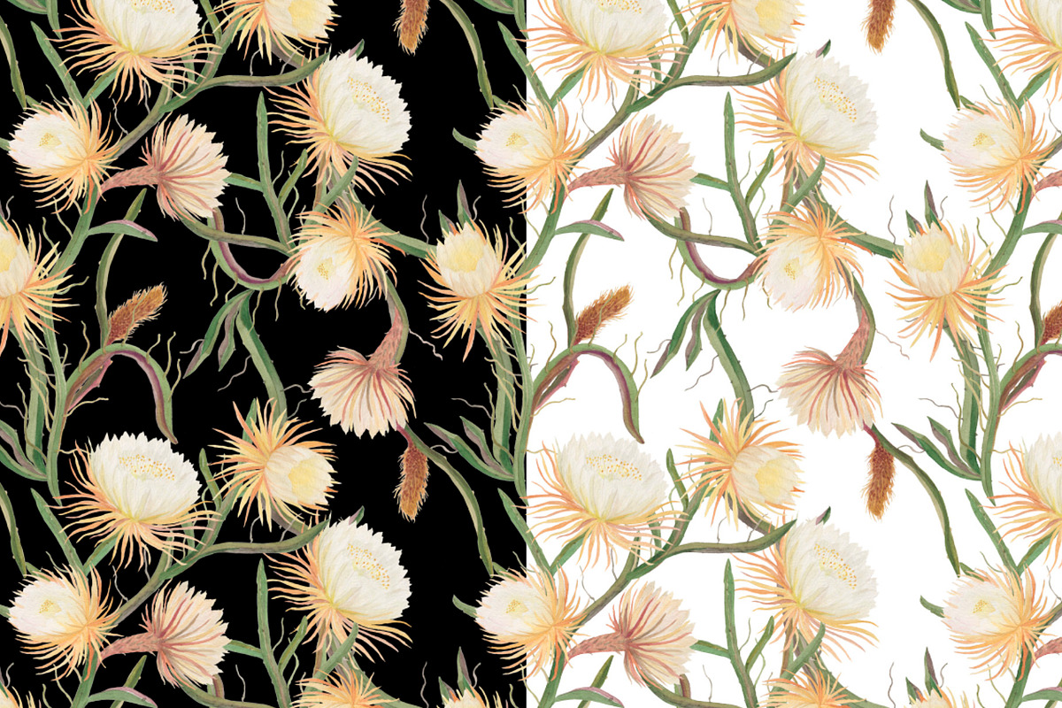 Watercolor Queen of the night flower, a Pattern Graphic by ramika (Photo 4 of 4)