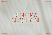 CHEVALIER Modern Luxury Typeface, a Serif Font by Comactype Foundry (Thumbnail 6 of 13)