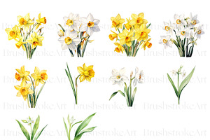 Narcissus Birth Month Flower Clipart