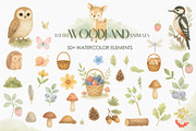 Woodland Animals Watercolor, an Animal Illustration by Ana-Sakuta (Thumbnail 8 of 10)