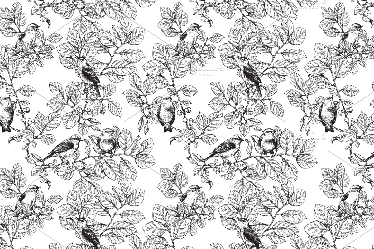 Birds on Branches Sketch, a Decorative Illustration by Valentyna Smordova (Photo 8 of 9)