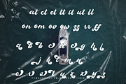Lougiet Guina - Retro Script Font, a Script Font by Dhabee (Thumbnail 4 of 16)