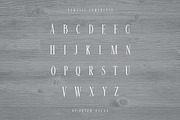 Nemesis Vintage Font, a Serif Font by JumboDesign (Thumbnail 5 of 7)