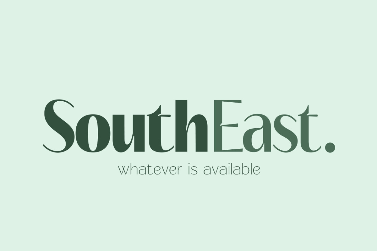 Signora | Sans Serif Family, a Sans Serif Font by Black Studio (Photo 3 of 11)