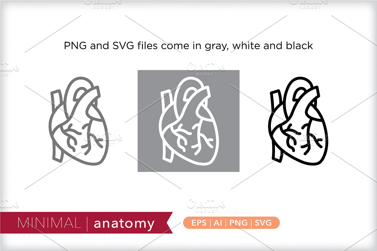 Minimal anatomy icons, an Outline Icon by Picture Window (Photo 2 of 5)