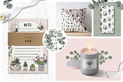 Protea - botanical garden collection, an Illustration by lokko studio (Thumbnail 5 of 7)