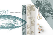 Aquatic Natural History Collection, an Object Graphic by Blixa 6 Studios (Thumbnail 23 of 24)