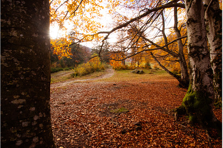 The countryside landscape of autumn, a Nature Photo by oksix
