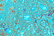 20 turquoise textures 64 Megapixel, a Texture Graphic by tkdesign (Thumbnail 12 of 20)