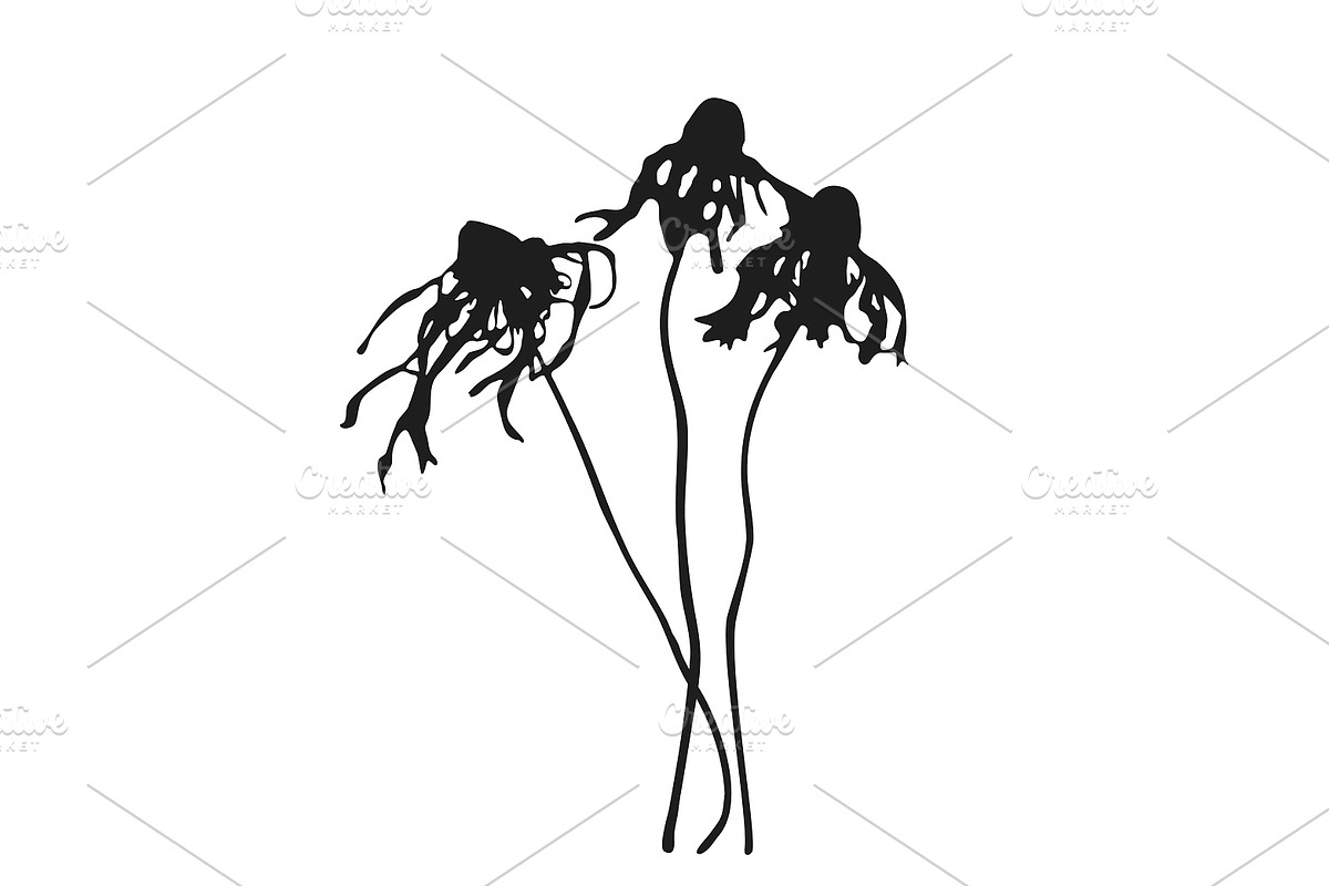 Botanical bundle - svg, png, a Decorative Illustration by Watercolor_Vector Graphic (Photo 10 of 26)