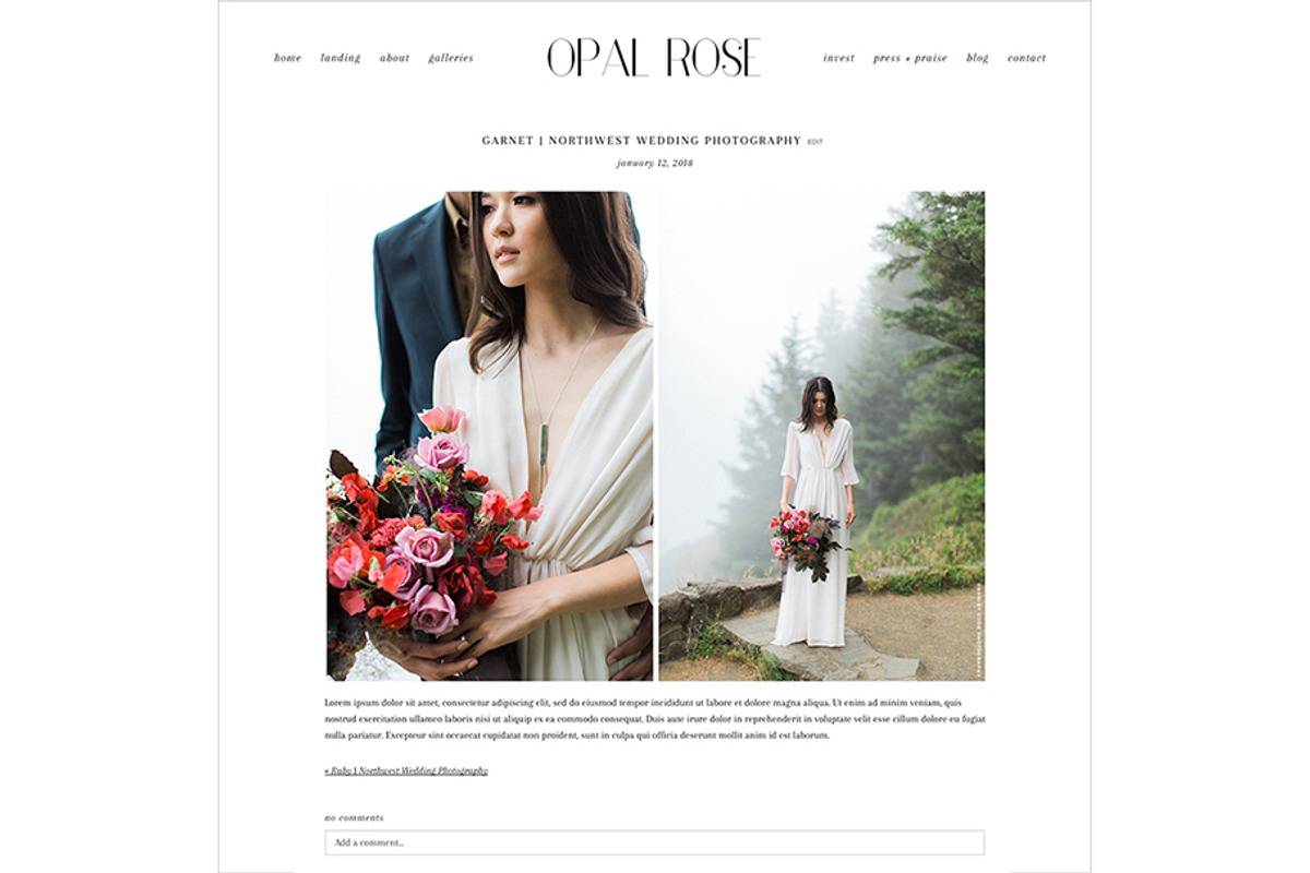 Opal Rose ProPhoto 7 Template, a Websites & App Template by Red Met Yellow Creative (Photo 8 of 15)