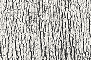 Tree Bark Textures, a Texture Graphic by GhostlyPixels (Thumbnail 6 of 9)