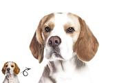 Oil Paint Creator Photoshop Action, an Action Add-On by MRI STUDIO (Thumbnail 6 of 14)
