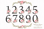 Soft Pink Floral Number Vectors, an Illustration by Amanda Ilkov (Thumbnail 1 of 5)