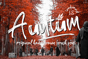 Brookland, a Script Font by LetterStock (Thumbnail 4 of 6)