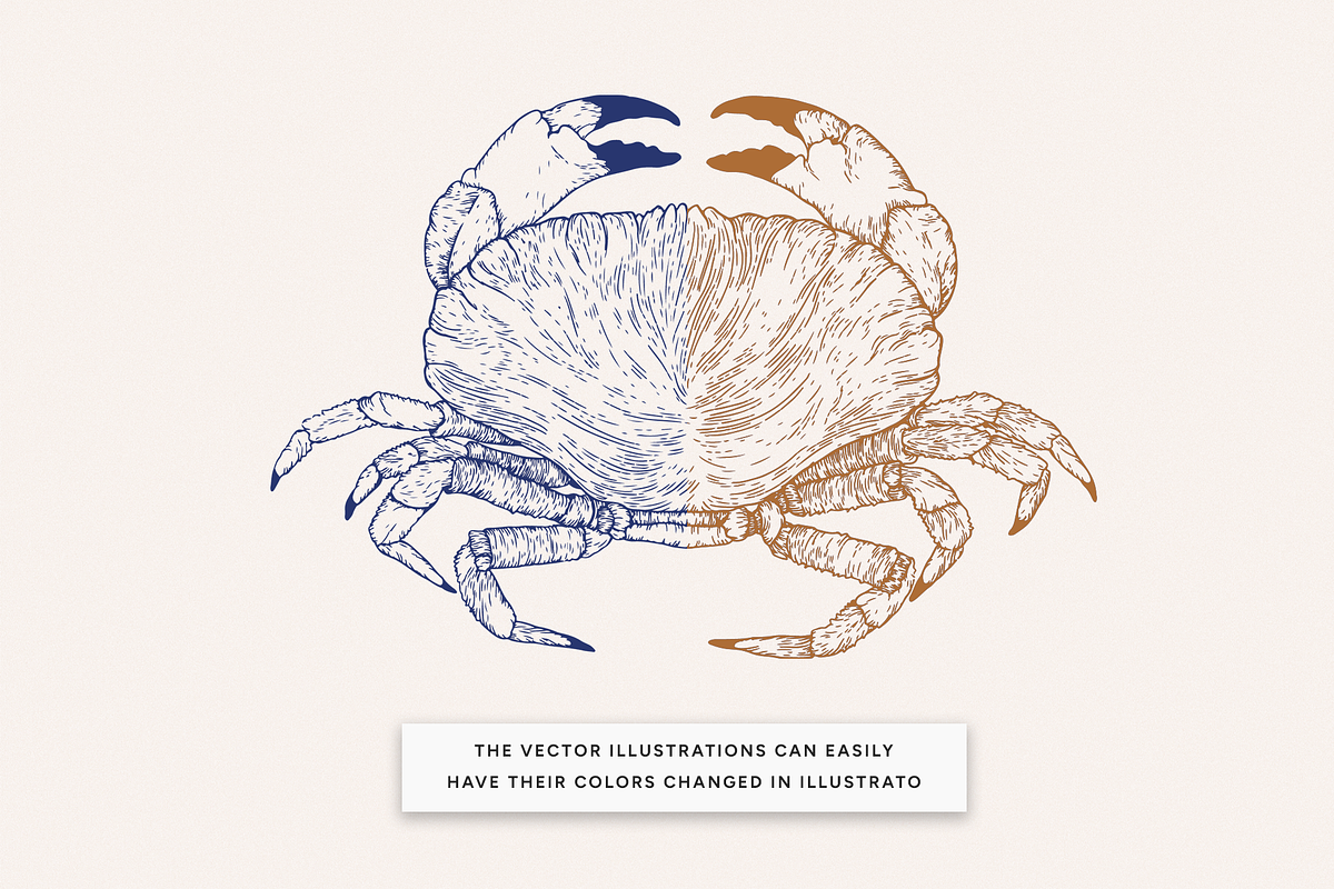 Seashells and seafood Illustrations, a Food Illustration by MargauxQuercy (Photo 4 of 5)