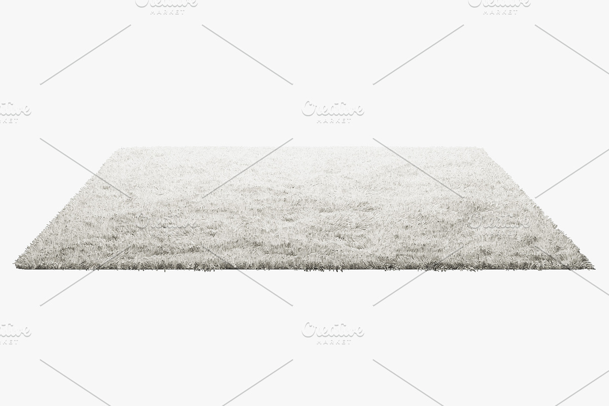Carpets with long nap 3d model, a Furniture 3D Model by 3dmitruk (Photo 4 of 8)