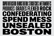 403 Vusion, a Sans Serif Font by 403 Type Foundry (Thumbnail 4 of 20)