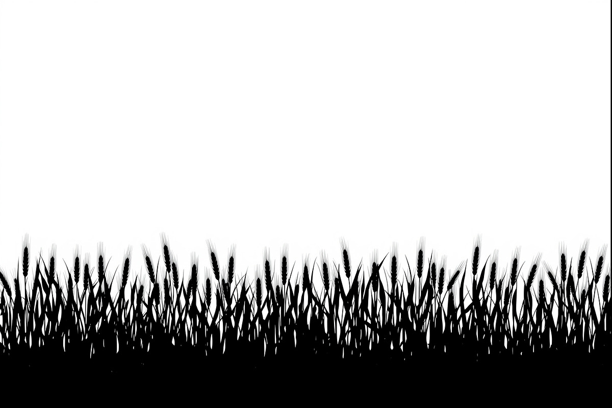 Harvest Wheat Border Designs, an Illustration by Creativeshirt (Photo 3 of 9)