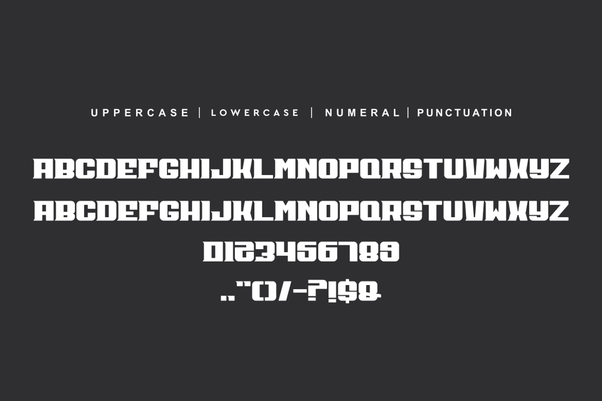 Progen Squiren, a Serif Font by alon kelakon (Photo 4 of 5)