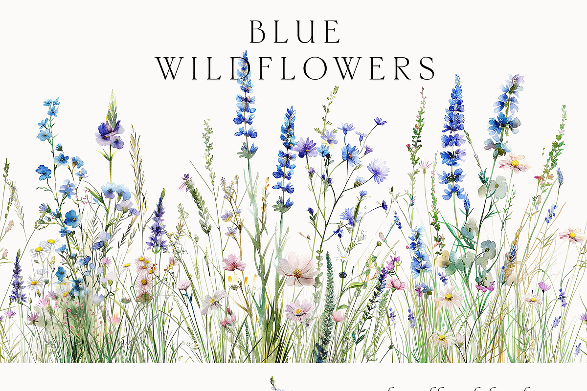 Waterolor Floral Borders Bundle, a Decorative Illustration by Lana Elanor (Photo 5 of 97)