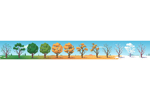 All seasons tree plant landscape set
