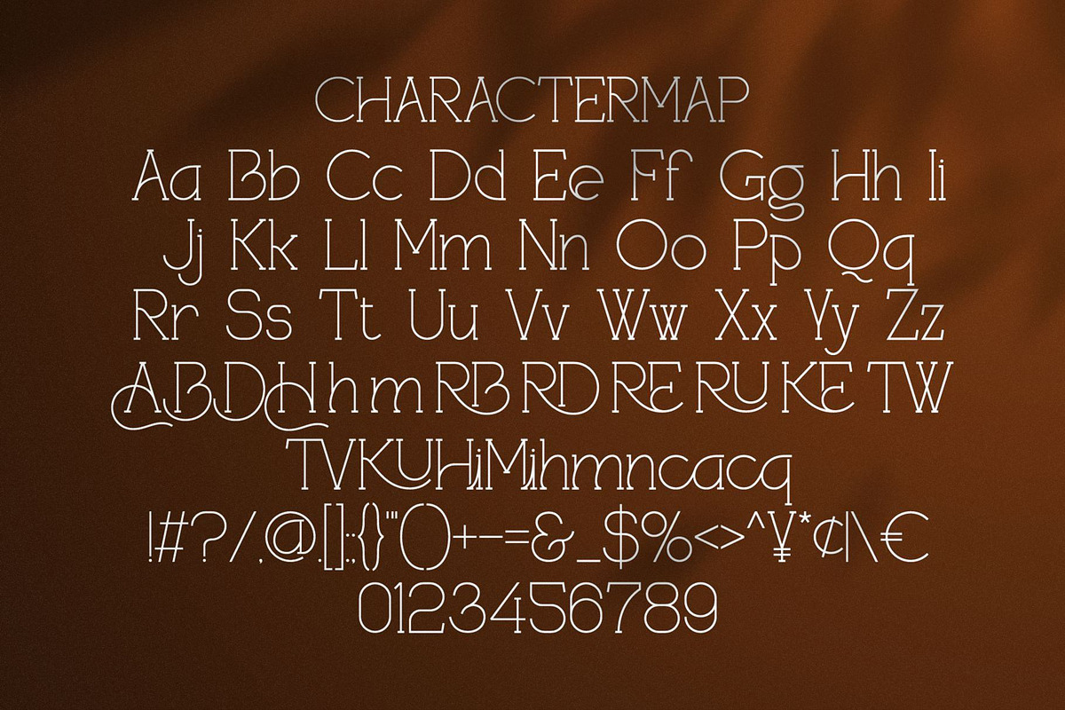 Aboren || Vintage Serif Monoline, a Serif Font by Ermedia Studio (Photo 10 of 10)