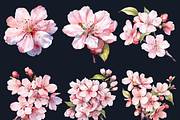 Watercolor Cherry Blossom Collection, a Decorative Illustration by GiraffeCreative (Thumbnail 5 of 9)