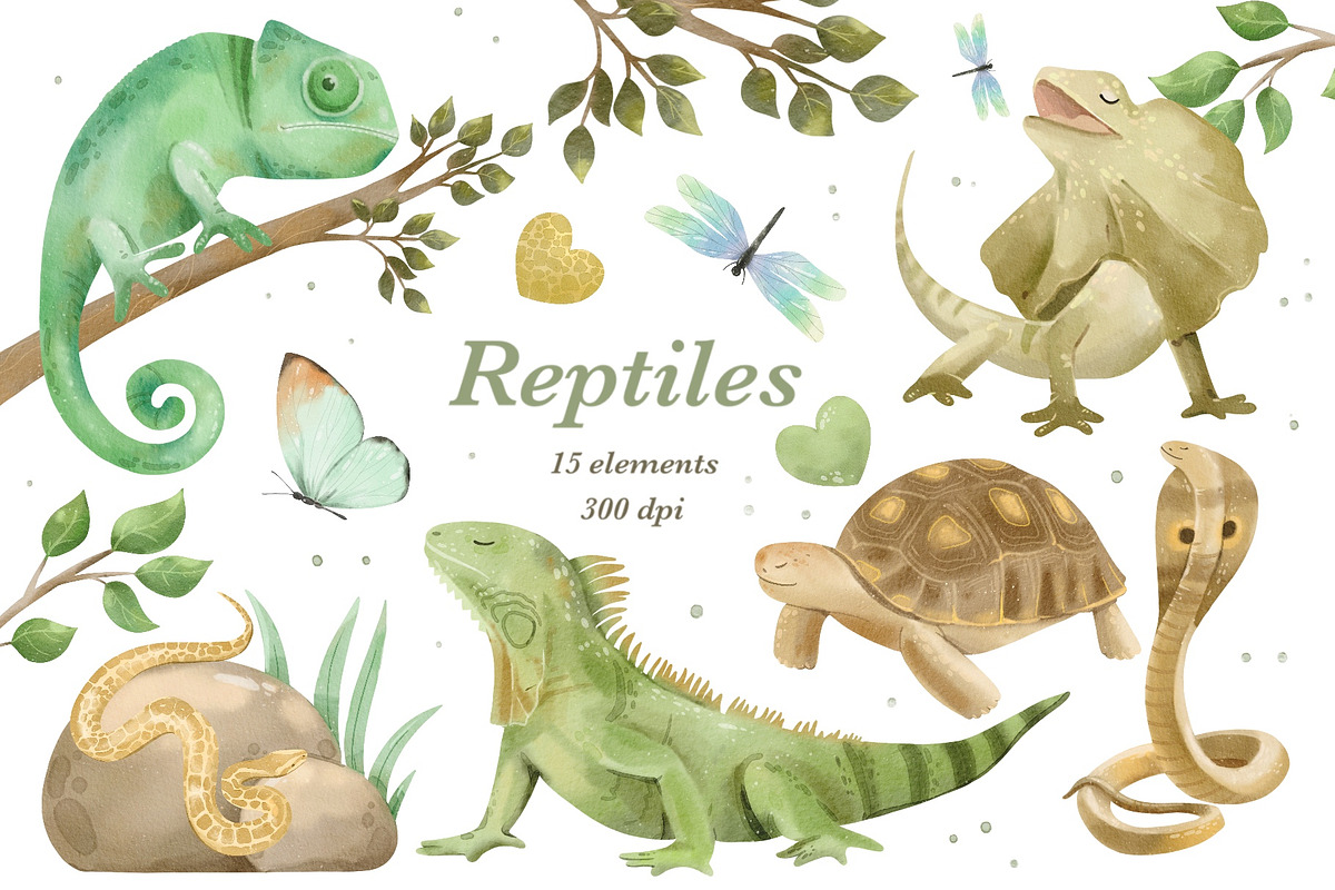 Watercolor Animals Bundle 8 in 1, an Animal Illustration by ArtGiftsStudio (Photo 6 of 10)