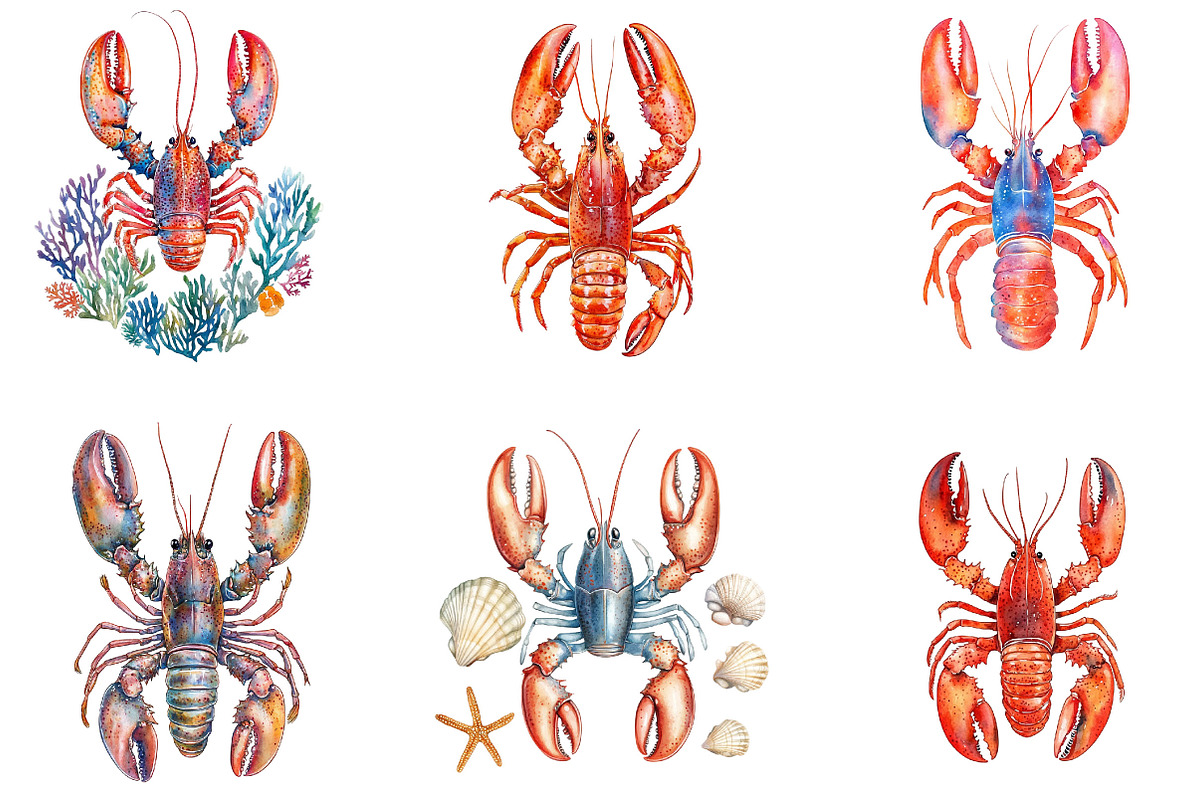 Watercolor Lobster Clipart, an Illustration by Designking (Photo 2 of 5)