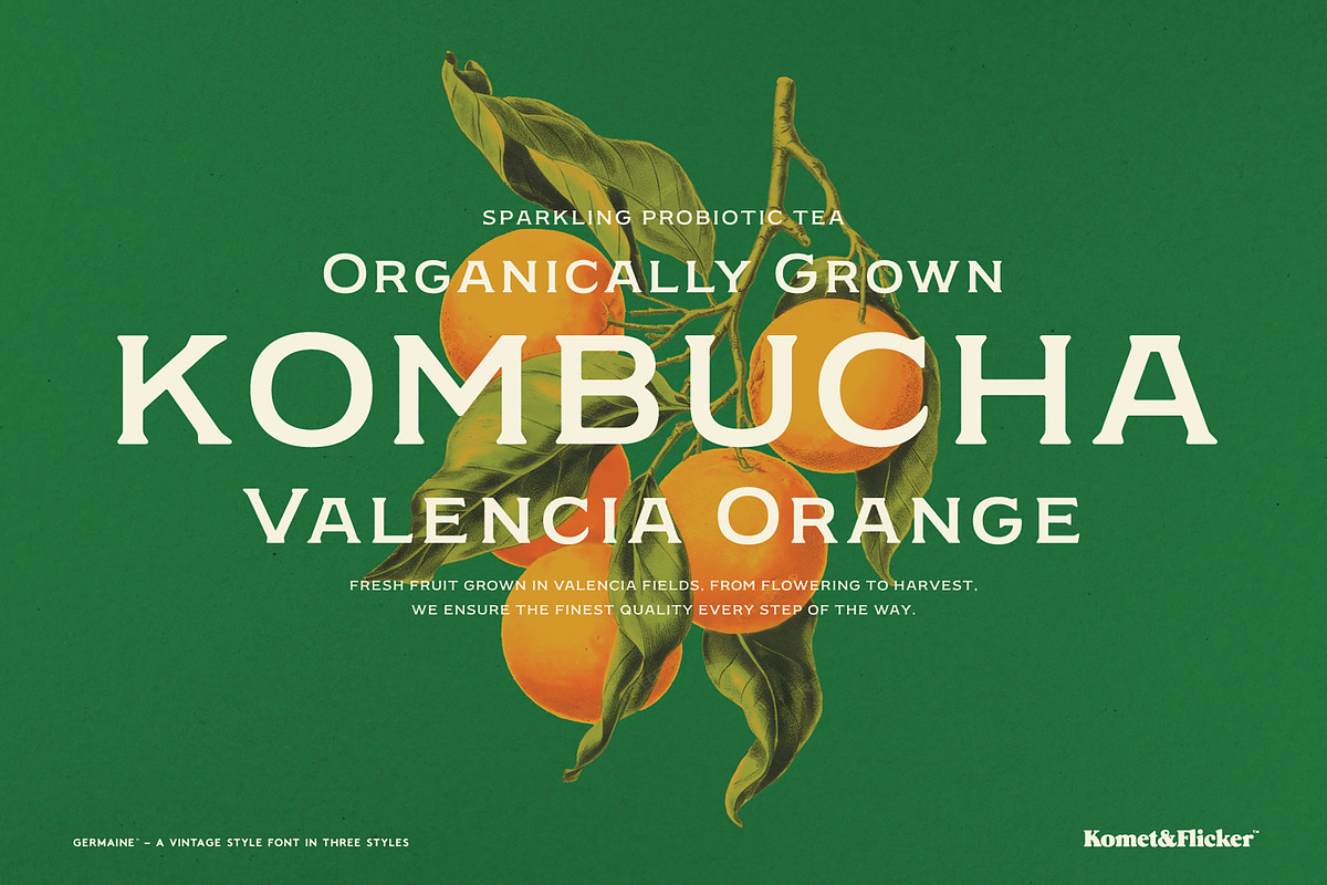 Germaine - A Vintage Style Font, a Serif Font by Komet & Flicker (Photo 12 of 15)