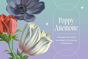 Atlas of Flowers - Botanical Art Set, an Object Graphic by Graphic Goods (Thumbnail 10 of 12)