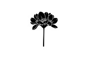 Floral Ornament Silhouette Bundle, an Illustration by BIPLOB EXPERT (Thumbnail 10 of 51)