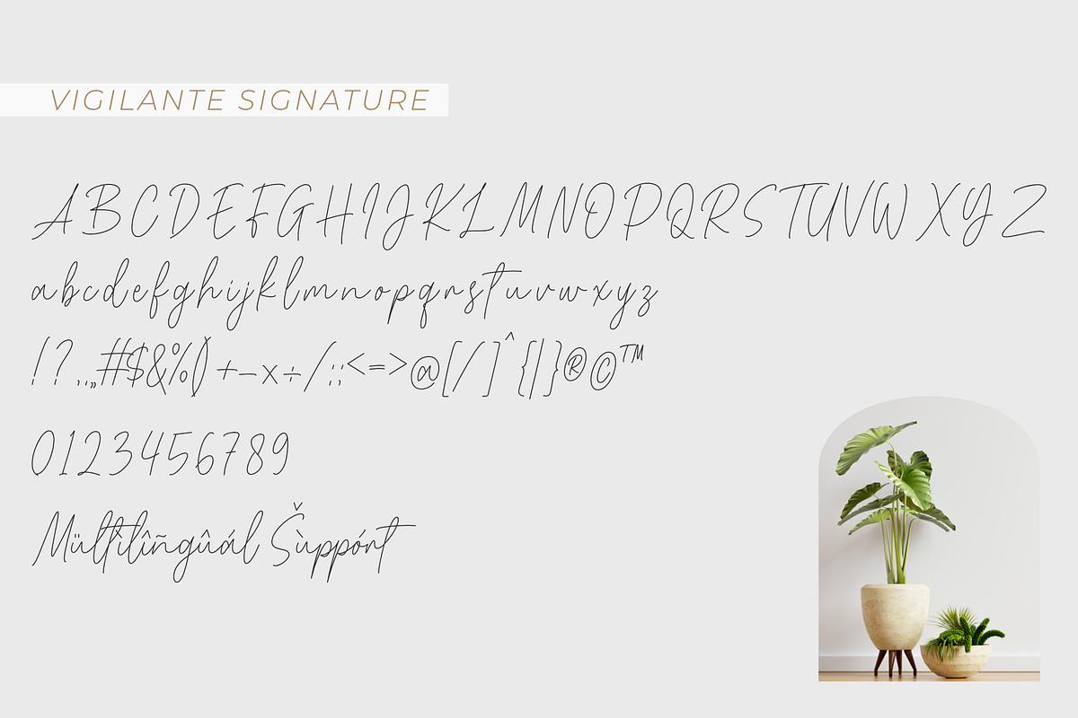 Vigilante | A Modern Classy Font Duo, a Sans Serif Font by Andrimada Creative (Photo 2 of 10)